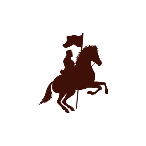 Shahsawaar Logo
